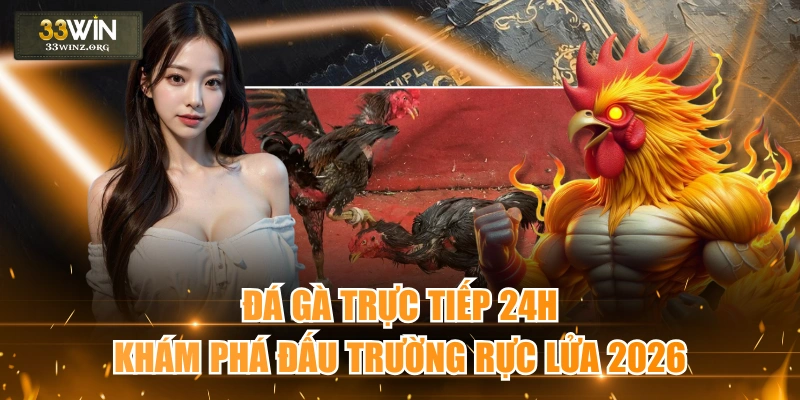 Đá Gà Trực Tiếp 24h - Khám Phá Đấu Trường Rực Lửa 2026 1 Đá gà trực tiếp 24h